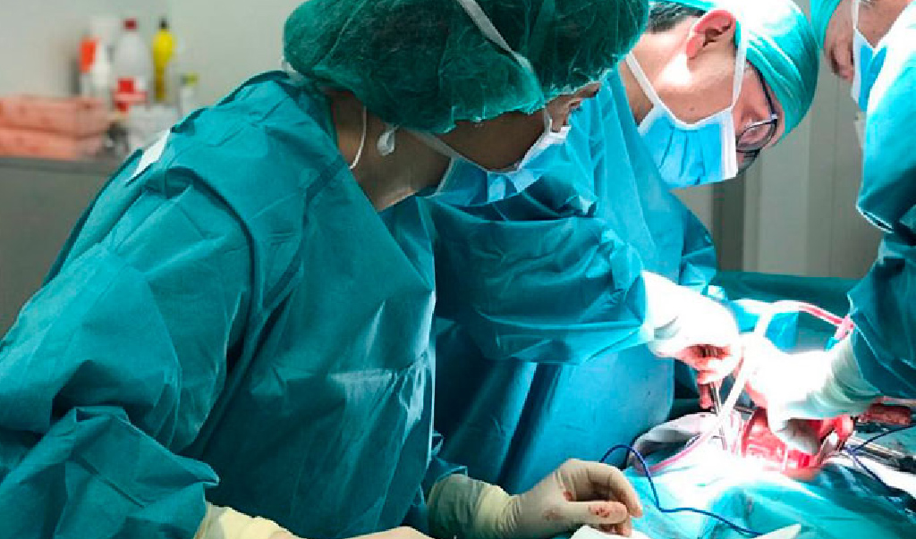 Lo que debes saber sobre las cirugías Urológicas